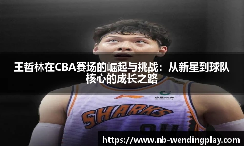 问鼎娱乐
