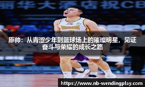 问鼎娱乐官网