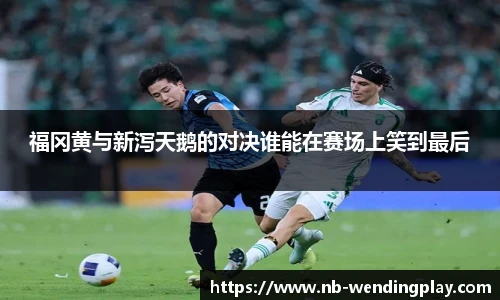 问鼎娱乐下载